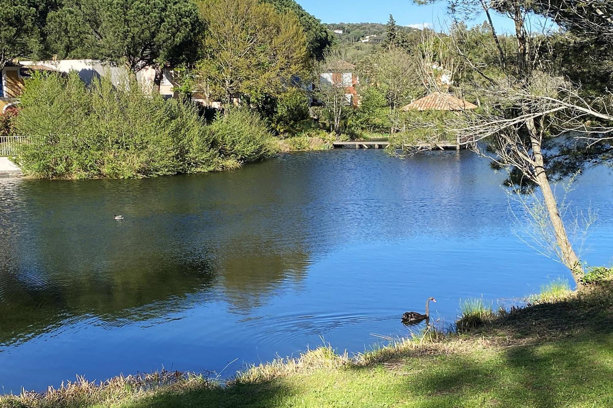 Les Bastides 3124 Villa Grimaud Kültér fotó